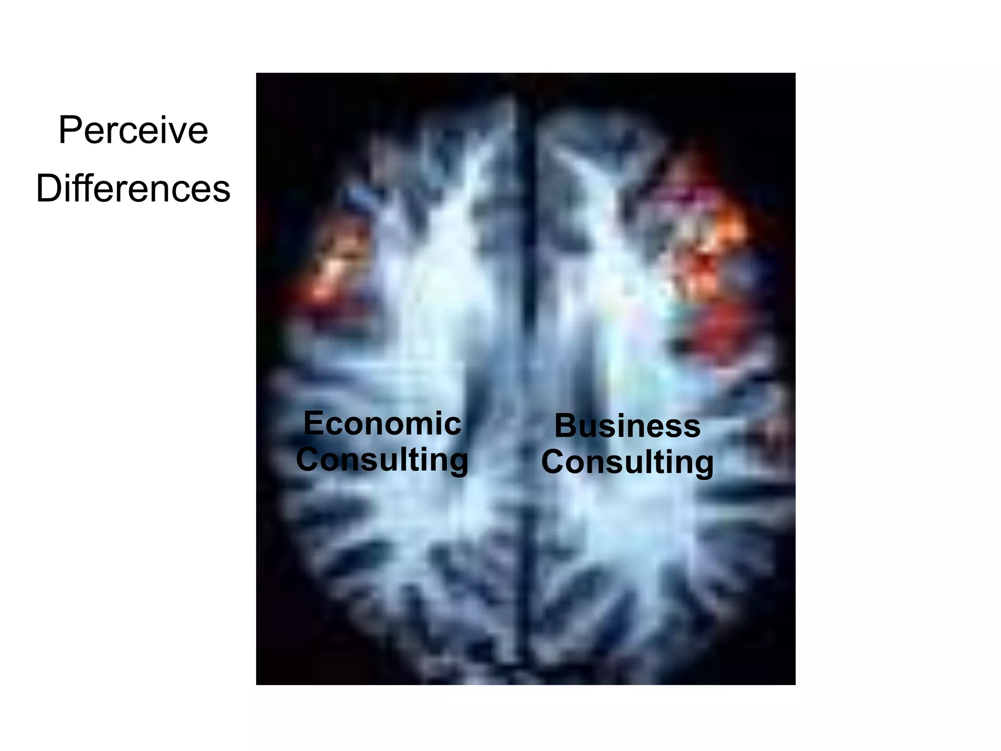 PerceiveDifferencesEconomic ConsultingBusiness Consulting