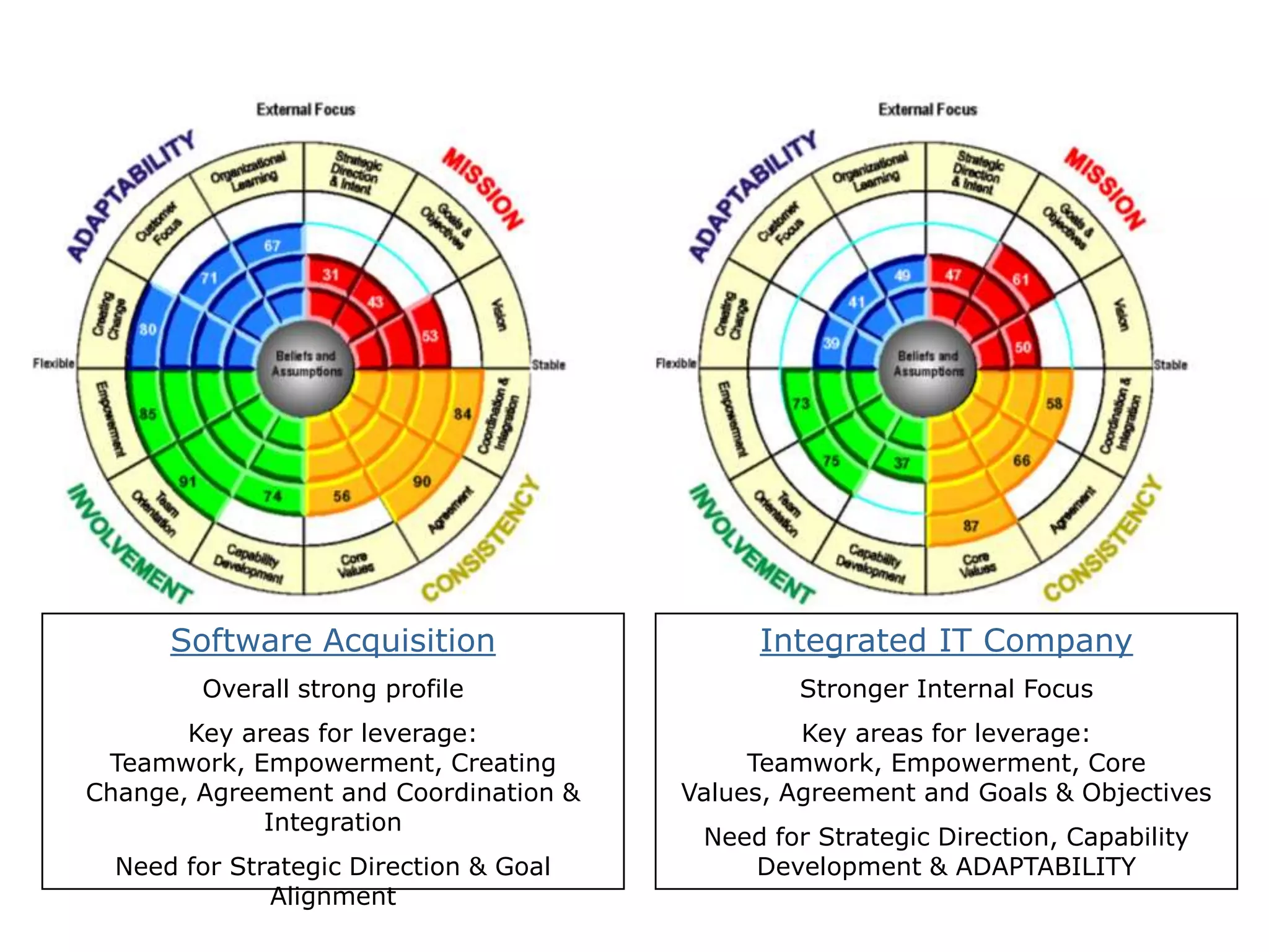 Software AcquisitionOverall strong profileKey areas for leverage: Teamwork, Empowerment, Creating Change, Agreement and Coordination & IntegrationNeed for Strategic Direction & Goal AlignmentIntegrated IT CompanyStronger Internal FocusKey areas for leverage: Teamwork, Empowerment, Core Values, Agreement and Goals & ObjectivesNeed for Strategic Direction, Capability Development & ADAPTABILITY
