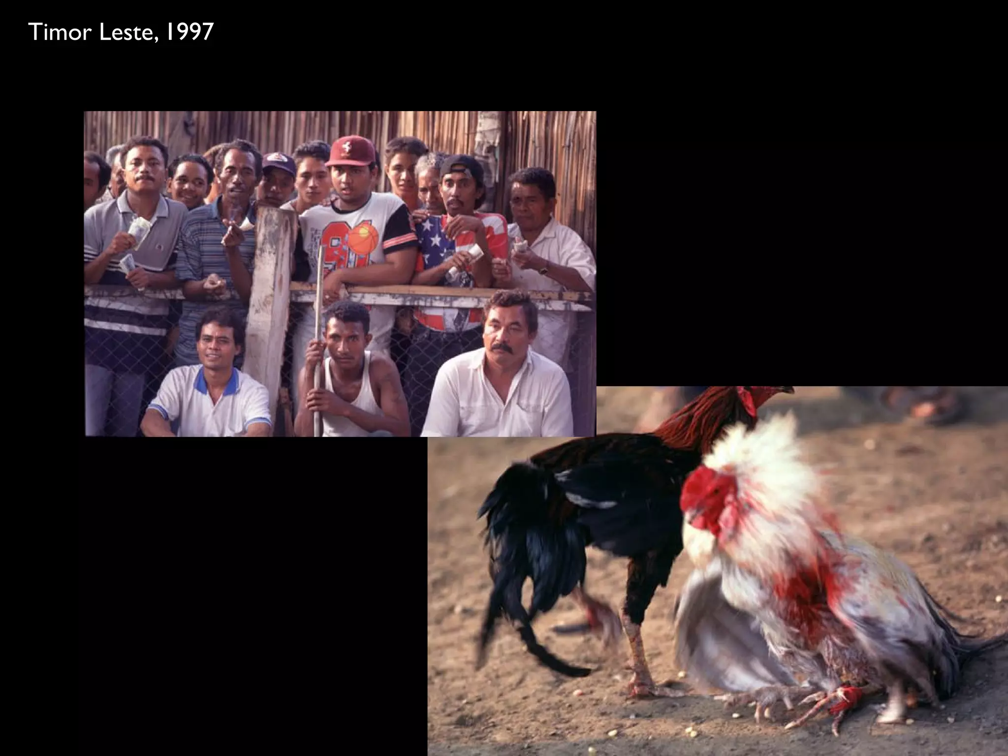 Timor Leste, 1997




                    ka rla b ru.ne t
 