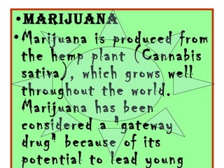 Marijuana Marijuana is produced from the hemp plant (Cannabis sativa), which grows well throughout the world. Marijuana has been considered a "gateway drug" because of its potential to lead young people to experiment 