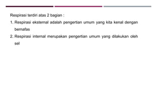 Respirasi terdiri atas 2 bagian :
1. Respirasi eksternal adalah pengertian umum yang kita kenal dengan
bernafas
2. Respirasi internal merupakan pengertian umum yang dilakukan oleh
sel
 