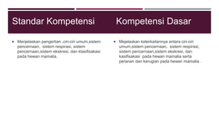 Standar Kompetensi
 Menjelaskan pengertian ,ciri-ciri umum,sistem
pencernaan, sistem respirasi, sistem
pencernaan,sistem ekskresi, dan klasifisakasi
pada hewan mamalia.
Kompetensi Dasar
 Mejelaskan keterkaitannya antara ciri-ciri
umum,sistem pencernaan, sistem respirasi,
sistem pencernaan,sistem ekskresi, dan
kasifisakasi pada hewan mamalia serta
peranan dan kerugian pada hewan mamalia .
 