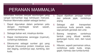 PERANAN MAMMALIA
Mammalia memiliki banyak keuntungan yang
sangat bermanfaat bagi kehidupan manusia.
Peranan Mammalia adalah sebagai berikut :
1. Dapat digunakan dalam pertanian yaitu
dengan membajak tanah sawah,
contohnya kerbau
2. Sebagai bahan wol, misalnya domba
3. Dapat memberantas serangga (nyamuk),
contohnya kelelawar.
4. Dikonsumsi sebagai sumber gizi yang
banyak khususnya protein misalnya susu
dan daging, contohnya sapi, kambing, dan
kuda.
5. Dapat dijadikan penjaga rumah
dan pelacak jejak, contohnya
anjing
6. Sebagai alat transportasi
contohnya kuda penarik soda,
sapi penarik gerobak dan unta
7. Barang kerajinan, contohnya
tanduk yang dibuat sendok,
gantungan kunci, sisir, dan tusuk
konde.
8. Hiburan, seperti permainan sirkus,
contohnya pada kuda, singa,
gajah, harimau dan lumba-lumba
 