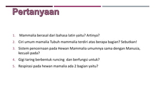 PERTANYAAN
1. Mammalia berasal dari bahasa latin yaitu? Artinya?
2. Ciri umum mamalia Tubuh mammalia terdiri atas berapa bagian? Sebutkan!
3. Sistem pencernaan pada Hewan Mammalia umumnya sama dengan Manusia,
kecuali pada?
4. Gigi taring berbentuk runcing dan berfungsi untuk?
5. Respirasi pada hewan mamalia ada 2 bagian yaitu?
 