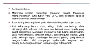 7. Fertilisasi internal
8. Mammalia bersifat homoiotern (berdarah panas). Mammalia
mempertahankan suhu tubuh yaitu 36°C. Dari sebagian spesies
mammalia melakukan hibernasi.
9. Ruas tulang belakang leher pada Mammalia berjumlah tujuh buah.
10. Alat indra yang berupa mata, telinga, lidah, dan hidung. Mata
dilindungi oleh kelopak mata atas dan kelopak mata bawah yang
dapat dipejamkan. Mammalia mempunyai tiga tulang pendengaran,
yaitu martil (maleus), landasan (incus), dan sanggurdi (stapes) yang
pada akhirnya organ pendengar berbentuk gelung yang disebut
dengan koklea. Lidah mempunyai papila-papila pengecap rasa.
Hidung berhubungan dengan lubang tunggal di tengkorak.
 