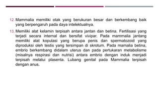 12. Mammalia memiliki otak yang berukuran besar dan berkembang baik
yang berpengaruh pada daya intelektualnya.
13. Memiliki alat kelamin terpisah antara jantan dan betina. Fertilisasi yang
terjadi secara internal dan bersifat vivipar. Pada mammalia jantang
memiliki alat kopulasi yang berupa penis dan spermatozoid yang
diproduksi oleh testis yang tersimpan di skrotum. Pada mamalia betina,
embrio berkembang didalam uterus dan pada pertukaran metabolisme
(misalnya respirasi dan nutrisi) antara embrio dengan induk menjadi
terpisah melalui plasenta. Lubang genital pada Mammalia terpisah
dengan anus.
 
