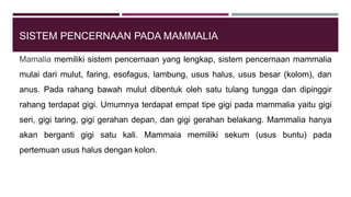 SISTEM PENCERNAAN PADA MAMMALIA
Mamalia memiliki sistem pencernaan yang lengkap, sistem pencernaan mammalia
mulai dari mulut, faring, esofagus, lambung, usus halus, usus besar (kolom), dan
anus. Pada rahang bawah mulut dibentuk oleh satu tulang tungga dan dipinggir
rahang terdapat gigi. Umumnya terdapat empat tipe gigi pada mammalia yaitu gigi
seri, gigi taring, gigi gerahan depan, dan gigi gerahan belakang. Mammalia hanya
akan berganti gigi satu kali. Mammaia memiliki sekum (usus buntu) pada
pertemuan usus halus dengan kolon.
 