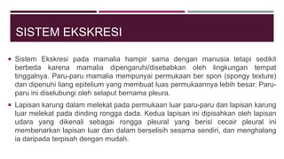 SISTEM EKSKRESI
 Sistem Ekskresi pada mamalia hampir sama dengan manusia tetapi sedikit
berbeda karena mamalia dipengaruhi/disebabkan oleh lingkungan tempat
tinggalnya. Paru-paru mamalia mempunyai permukaan ber spon (spongy texture)
dan dipenuhi liang epitelium yang membuat luas permukaannya lebih besar. Paru-
paru ini diselubungi oleh selaput bernama pleura.
 Lapisan karung dalam melekat pada permukaan luar paru-paru dan lapisan karung
luar melekat pada dinding rongga dada. Kedua lapisan ini dipisahkan oleh lapisan
udara yang dikenali sebagai rongga pleural yang berisi cecair pleural ini
membenarkan lapisan luar dan dalam berselisih sesama sendiri, dan menghalang
ia daripada terpisah dengan mudah.
 