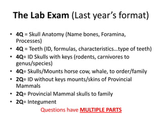 Mammal lab exam-revised2012 | PDF