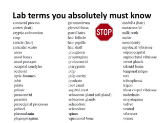 Lab Jargon Examples Mammal lab exam-revised2012 | PDF