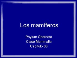 Los mamíferos Phylum Chordata Clase Mammalia Capítulo 30 