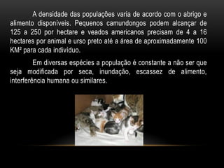 A densidade das populações varia de acordo com o abrigo e
alimento disponíveis. Pequenos camundongos podem alcançar de
125 a 250 por hectare e veados americanos precisam de 4 a 16
hectares por animal e urso preto até a área de aproximadamente 100
KM² para cada indivíduo.
         Em diversas espécies a população é constante a não ser que
seja modificada por seca, inundação, escassez de alimento,
interferência humana ou similares.
 