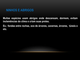 NINHOS E ABRIGOS

Muitas espécies usam abrigos onde descansam, dormem, evitam
inclemências do clima e criam suas proles.
Ex.: fendas entre rochas, oco de árvores, cavernas, árvores, túneis e
etc.
 