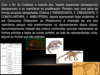Com o fim do Cretáceo a maioria dos “répteis superiores (dinossauros)
desapareceu e os mamíferos se proliferaram. Primeiro veio uma série de
formas arcaicas desajeitadas (Ordens † TAENIODONTA, † CREODONTA, †
CONDYLARTHRA, † AMBLYPODA), depois apareceram tipos modernos. A
era Cenozoica (Paleoceno ao Pleistoceno) é chamada de era dos
mamíferos porque nela predominaram os representantes dessa classe.
Aproximadamente metade das ordens conhecidas consiste inteiramente de
formas extintas e todas as outras contêm, ao lado de representantes vivos,
alguns ou muitos que são extintos.
 