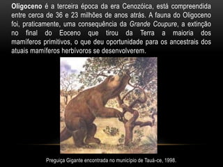 Oligoceno é a terceira época da era Cenozóica, está compreendida
entre cerca de 36 e 23 milhões de anos atrás. A fauna do Oligoceno
foi, praticamente, uma consequência da Grande Coupure, a extinção
no final do Eoceno que tirou da Terra a maioria dos
mamíferos primitivos, o que deu oportunidade para os ancestrais dos
atuais mamíferos herbívoros se desenvolverem.




           Preguiça Gigante encontrada no município de Tauá-ce, 1998.
 