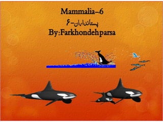 Mammalia 6-7