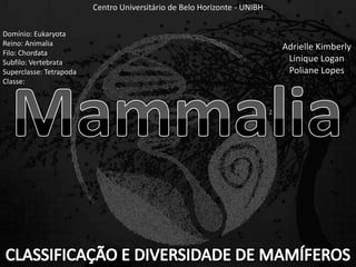 Domínio: Eukaryota
Reino: Animalia
Filo: Chordata
Subfilo: Vertebrata
Superclasse: Tetrapoda
Classe:
Centro Universitário de Belo Horizonte - UNIBH
Adrielle Kimberly
Linique Logan
Poliane Lopes
1
 