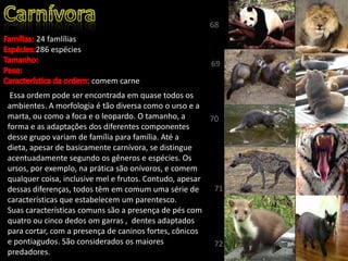 24 famlílias
286 espécies
comem carne
Essa ordem pode ser encontrada em quase todos os
ambientes. A morfologia é tão diversa como o urso e a
marta, ou como a foca e o leopardo. O tamanho, a
forma e as adaptações dos diferentes componentes
desse grupo variam de família para família. Até a
dieta, apesar de basicamente carnívora, se distingue
acentuadamente segundo os gêneros e espécies. Os
ursos, por exemplo, na prática são onívoros, e comem
qualquer coisa, inclusive mel e frutos. Contudo, apesar
dessas diferenças, todos têm em comum uma série de
características que estabelecem um parentesco.
Suas características comuns são a presença de pés com
quatro ou cinco dedos om garras , dentes adaptados
para cortar, com a presença de caninos fortes, cônicos
e pontiagudos. São considerados os maiores
predadores.
68
69
70
71
72
 
