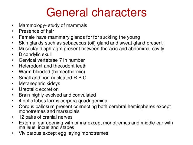 Mammalia classification by deepak rawal