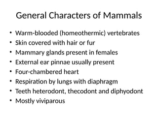 classification of mammalia and their characters | PPTX