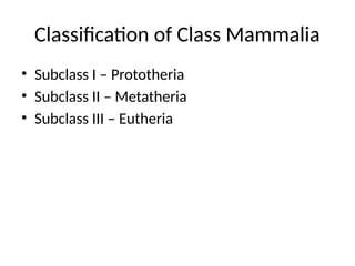 classification of mammalia and their characters | PPTX