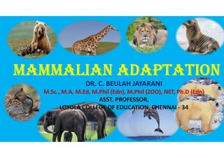 MaMMalian adaptation
DR. C. BEULAH JAYARANI
M.Sc., M.A, M.Ed, M.Phil (Edn), M.Phil (ZOO), NET, Ph.D (Edn)
ASST. PROFESSOR,
LOYOLA COLLEGE OF EDUCATION, CHENNAI - 34
 