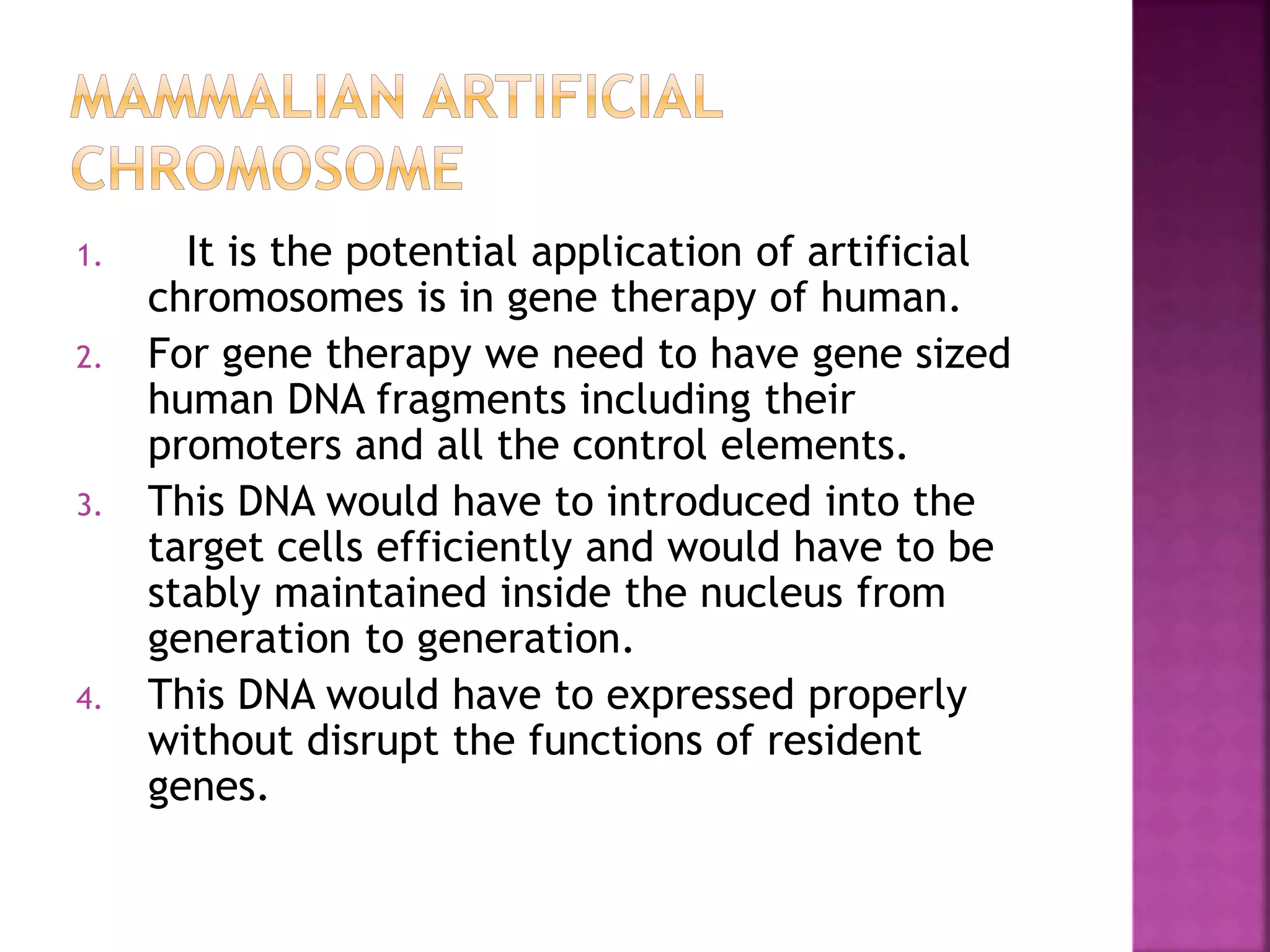 Mammalian artificial chromosome PPT