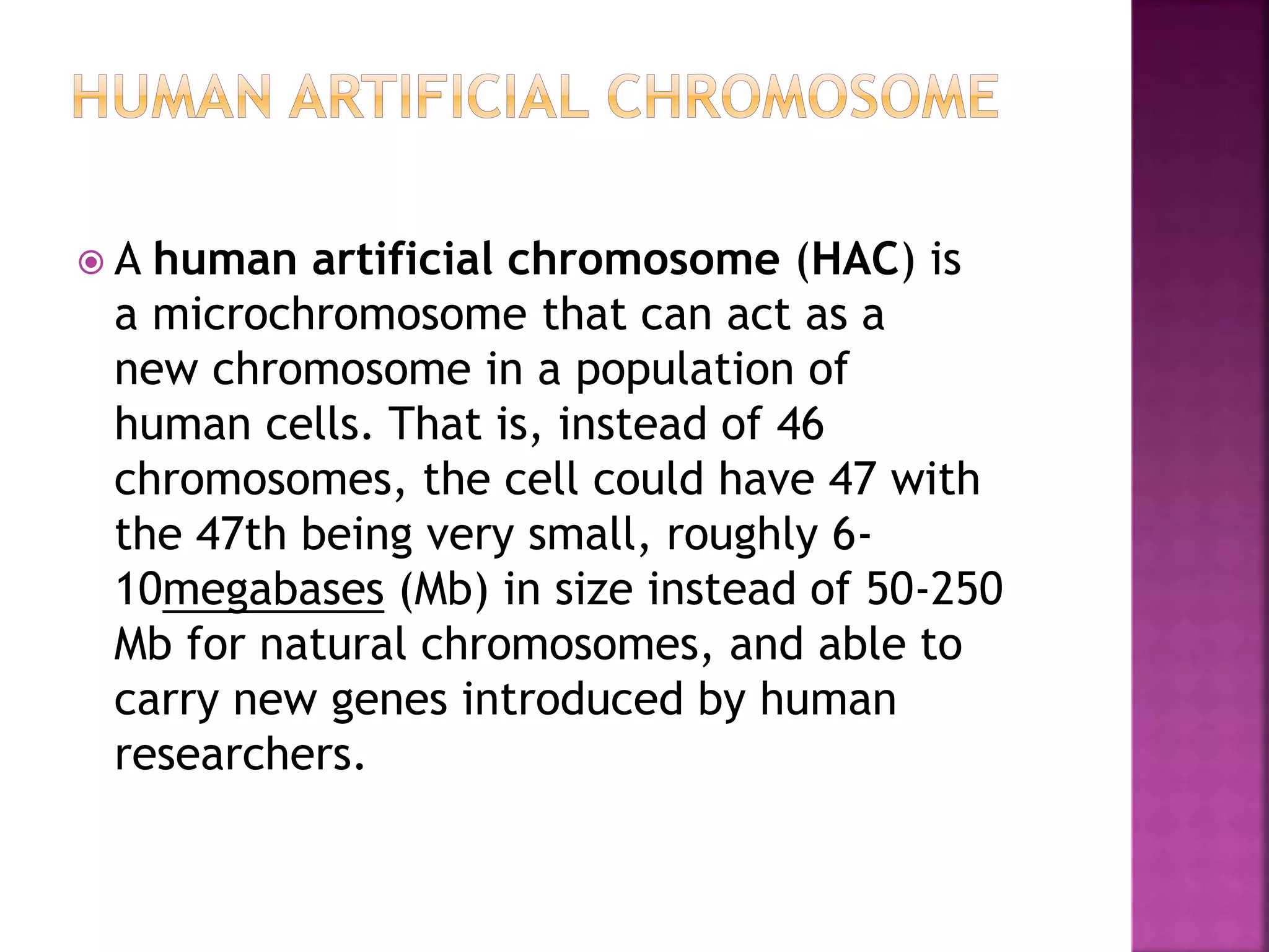 Mammalian artificial chromosome PPT