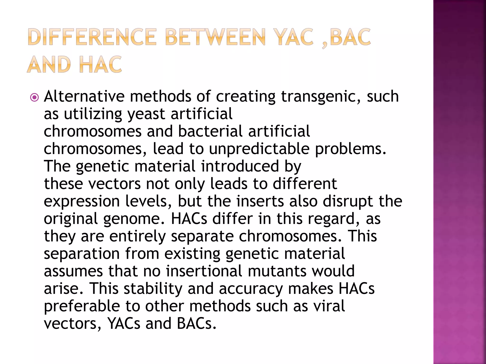 Mammalian artificial chromosome PPT
