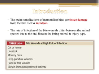 Mammalian bites | PPTX