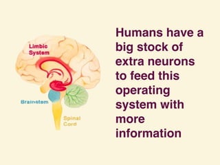 Humans have a
big stock of
extra neurons
to feed this
operating
system with
more
information
 