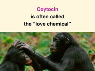 Loretta Graziano Breuning PhD, Inner Mammal Institute
Oxytocin
is often called
the “love chemical”
 