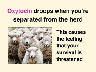 Oxytocin droops when you’re
separated from the herd
This causes
the feeling
that your
survival is
threatened
 