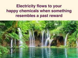Electricity ﬂows to your 
happy chemicals when something
resembles a past reward
 