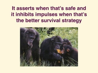 It asserts when that’s safe and
it inhibits impulses when that’s
the better survival strategy
 