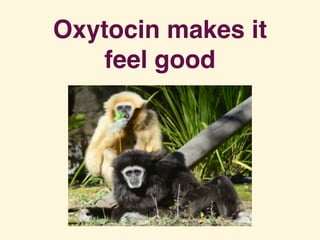 Oxytocin makes it 
feel good
 