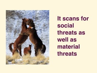 It scans for
social
threats as
well as
material
threats
 