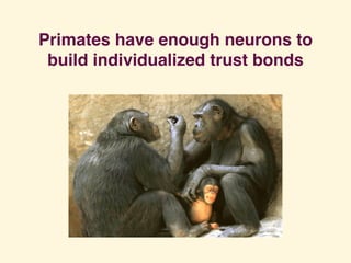 Primates have enough neurons to
build individualized trust bonds
 