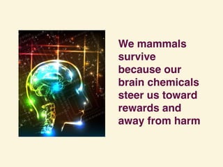 We mammals
survive
because our
brain chemicals
steer us toward
rewards and
away from harm
 