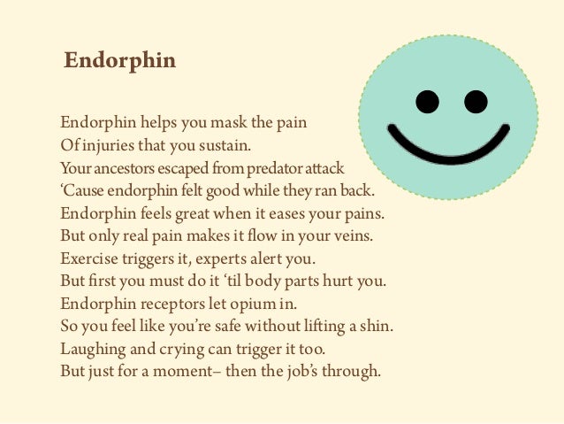 Endorphin Endorphin