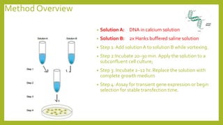 Method Overview
• Solution A: DNA in calcium solution
• Solution B: 2x Hanks buffered saline solution
• Step 1: Add solution A to solution B while vortexing.
• Step 2:Incubate 20–30 min. Apply the solution to a
subconfluent cell culture;
• Step 3: Incubate 2–12 hr. Replace the solution with
complete growth medium
• Step 4: Assay for transient gene expression or begin
selection for stable transfection time.
 