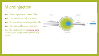 Microinjection
■■ Direct injection of naked DNA
■■ Laborious (one cell at a time)
■■ Technically demanding and costly
■■ Can be used for many animals
Specific application like ectopic gene
transfer, microinjection is potentially
viable.
 