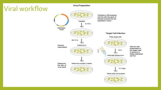 Viral workflow
 