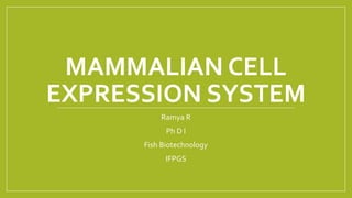 MAMMALIAN CELL
EXPRESSION SYSTEM
Ramya R
Ph D I
Fish Biotechnology
IFPGS
 