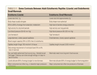 General Characteristics of Mammals | PDF