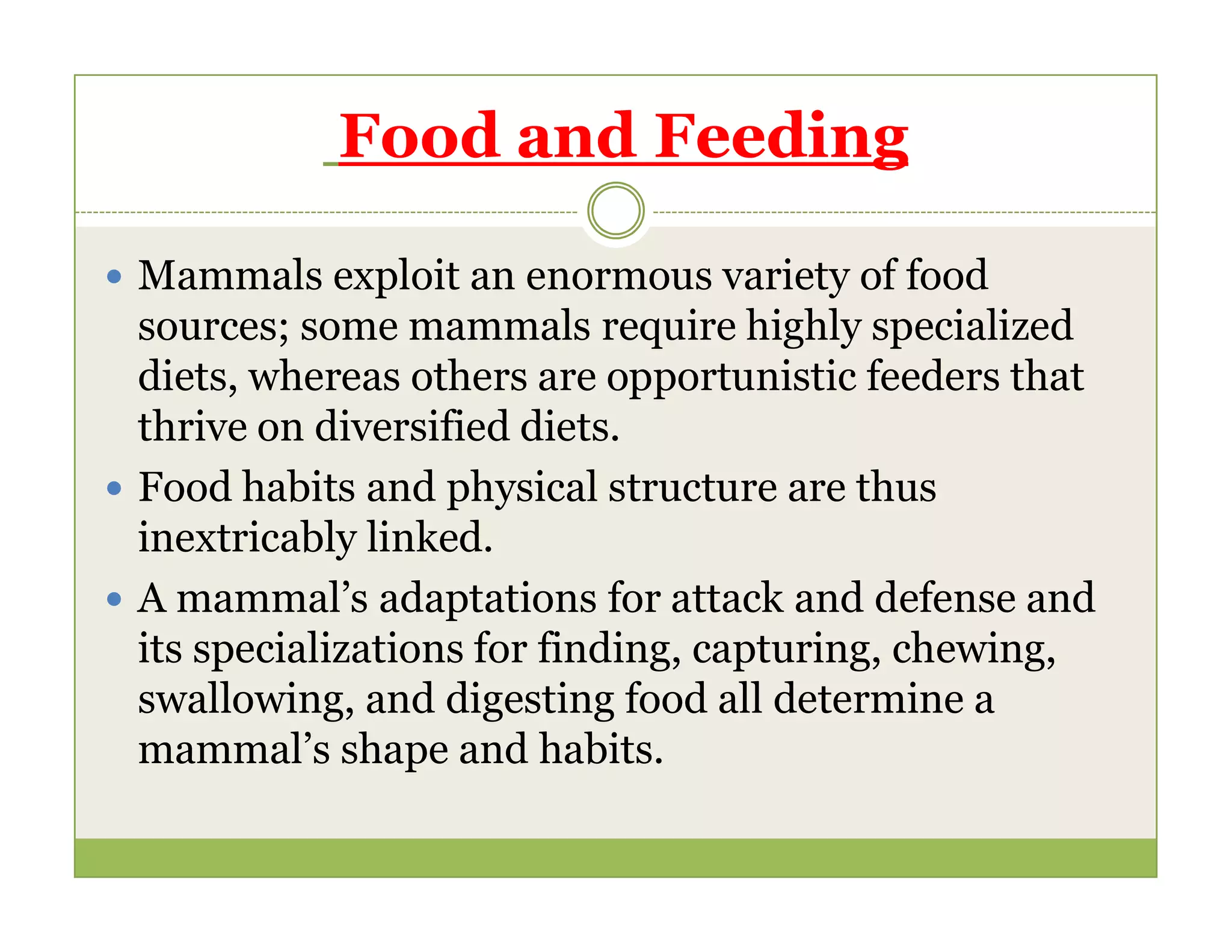 Mammalian Characteristics Pdf