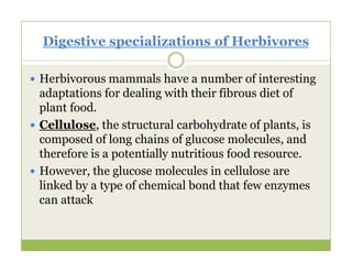 Digestive specializations of Herbivores
 Herbivorous mammals have a number of interesting
adaptations for dealing with their fibrous diet of
plant food.
 Cellulose, the structural carbohydrate of plants, is
composed of long chains of glucose molecules, and
composed of long chains of glucose molecules, and
therefore is a potentially nutritious food resource.
 However, the glucose molecules in cellulose are
linked by a type of chemical bond that few enzymes
can attack
 