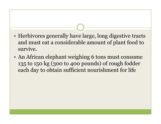  Herbivores generally have large, long digestive tracts
and must eat a considerable amount of plant food to
survive.
 An African elephant weighing 6 tons must consume
135 to 150 kg (300 to 400 pounds) of rough fodder
135 to 150 kg (300 to 400 pounds) of rough fodder
each day to obtain sufficient nourishment for life
 
