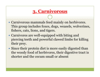 3. Carnivorous
 Carnivorous mammals feed mainly on herbivores.
This group includes foxes, dogs, weasels, wolverines,
fishers, cats, lions, and tigers.
 Carnivores are well-equipped with biting and
piercing teeth and powerful clawed limbs for killing
piercing teeth and powerful clawed limbs for killing
their prey.
 Since their protein diet is more easily digested than
the woody food of herbivores, their digestive tract is
shorter and the cecum small or absent
 