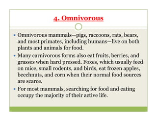 4. Omnivorous
 Omnivorous mammals—pigs, raccoons, rats, bears,
and most primates, including humans—live on both
plants and animals for food.
 Many carnivorous forms also eat fruits, berries, and
grasses when hard pressed. Foxes, which usually feed
grasses when hard pressed. Foxes, which usually feed
on mice, small rodents, and birds, eat frozen apples,
beechnuts, and corn when their normal food sources
are scarce.
 For most mammals, searching for food and eating
occupy the majority of their active life.
 